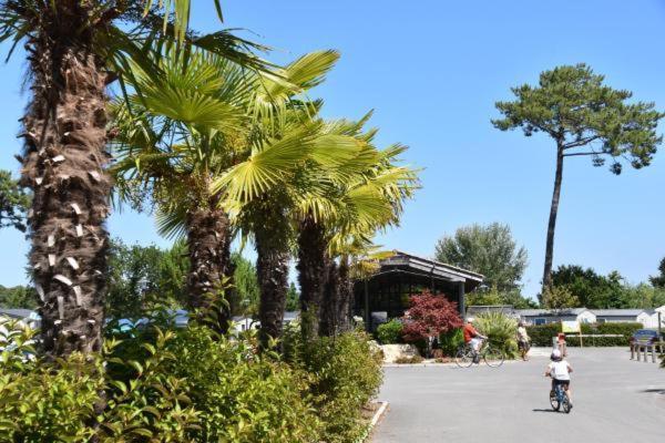 Mobil Home Xxl - Bord Lac - Camping Les Viviers - Lege Cap Ferret Exterior foto
